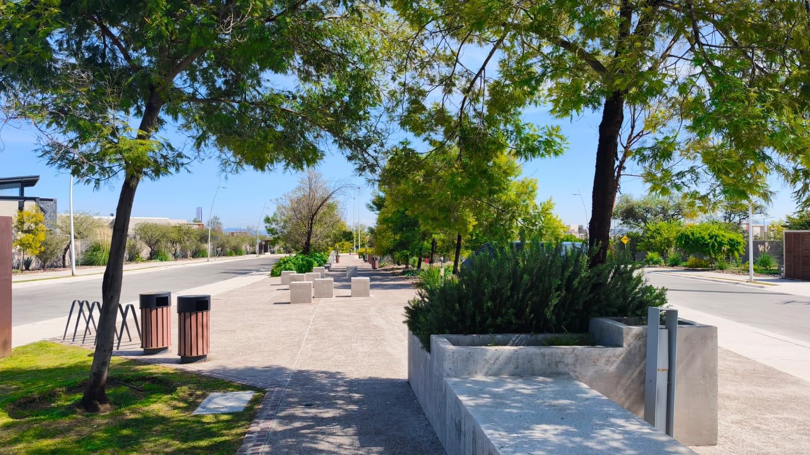 Lush green park landscape